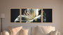 Wallity Huhu309 Cuadro Decorativo de 3 Piezas Multicolor